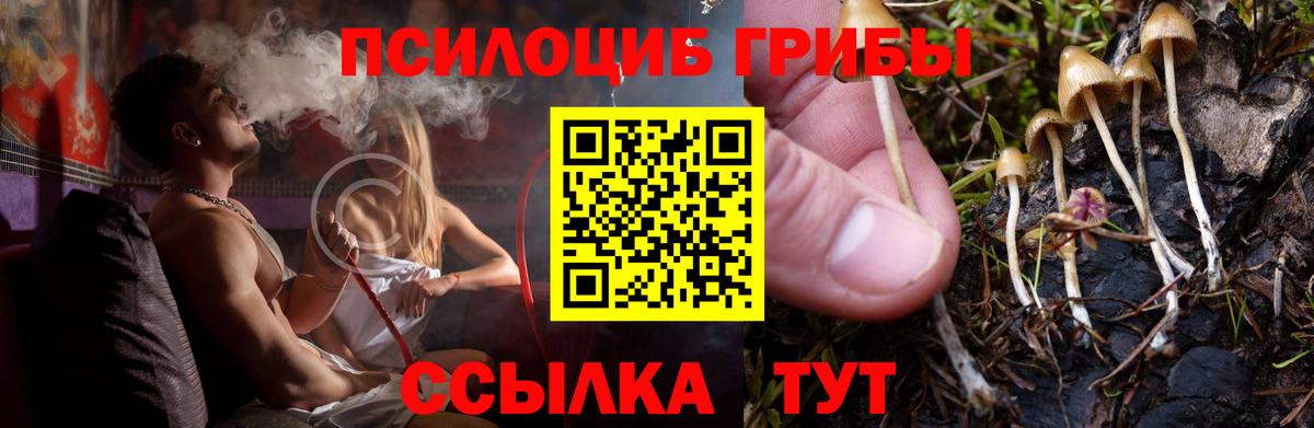 цена наркотик  Галлюциногенные грибы Magic Shrooms  Вход с VPN  Старая Купавна 